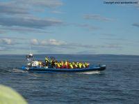 Filename=whalewatchingiceland9.JPG
Filesize=174KiB
Dimensions=1155x866
Date added=Dec 30, 2014 whalewatchingiceland9.JPG
