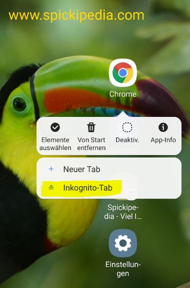 Immer im Inkognito Modus starten - Chrome Browser