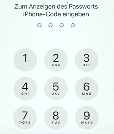 iPhone Passwort anzeigen