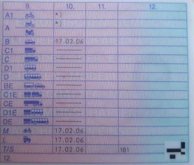 Führerschein Felder Rückseite