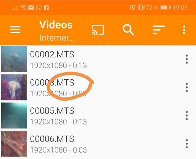 MTS Dateien im VLC Media Player öffnen