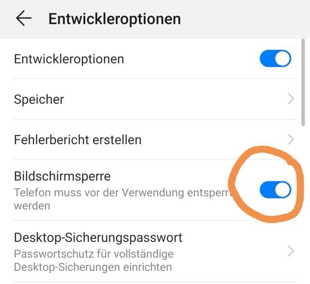 Entwickleroptionen