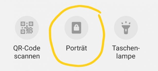 Porträt auswählen, um Bildschirm drehen zu aktivieren