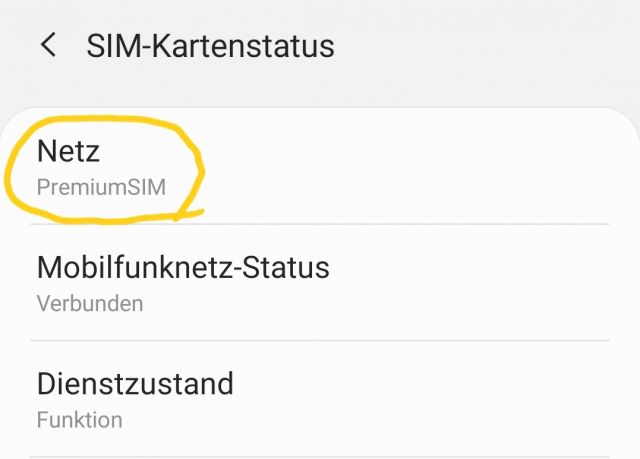 Netzstatus