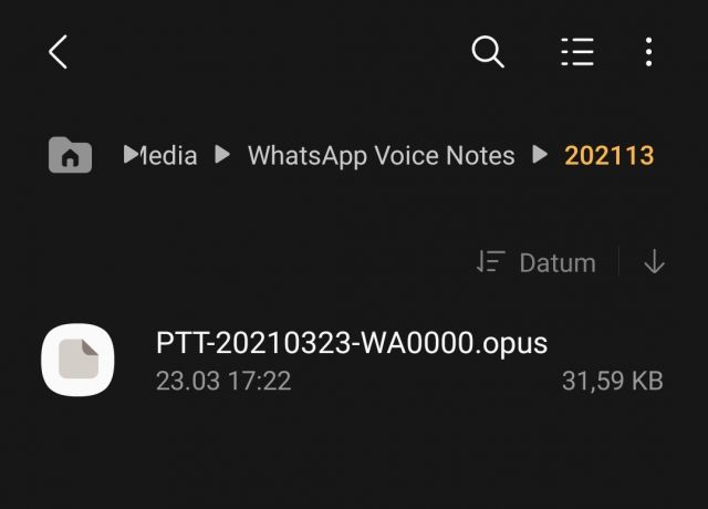 Mediendatei öffnen - WhatsApp Opus Datei