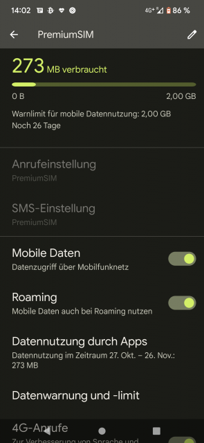Google Pixel Daten Roaming aktivieren