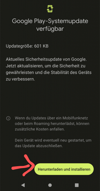 Pixel 6 Pro Google Play Systemupdate installieren