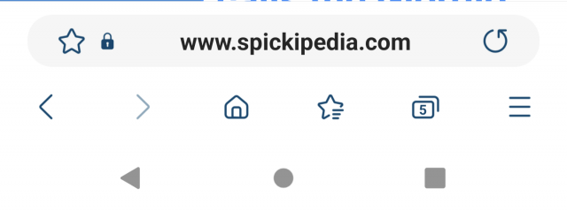 Adressleiste unten im Samsung Browser