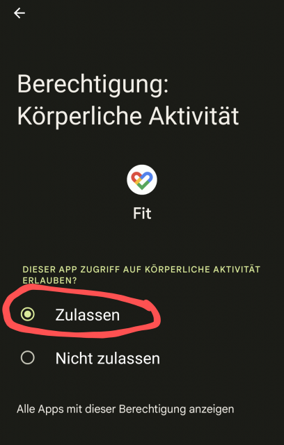 Google Fit Berechtigungen