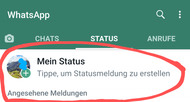 Schritt 1: Mein Status auswählen