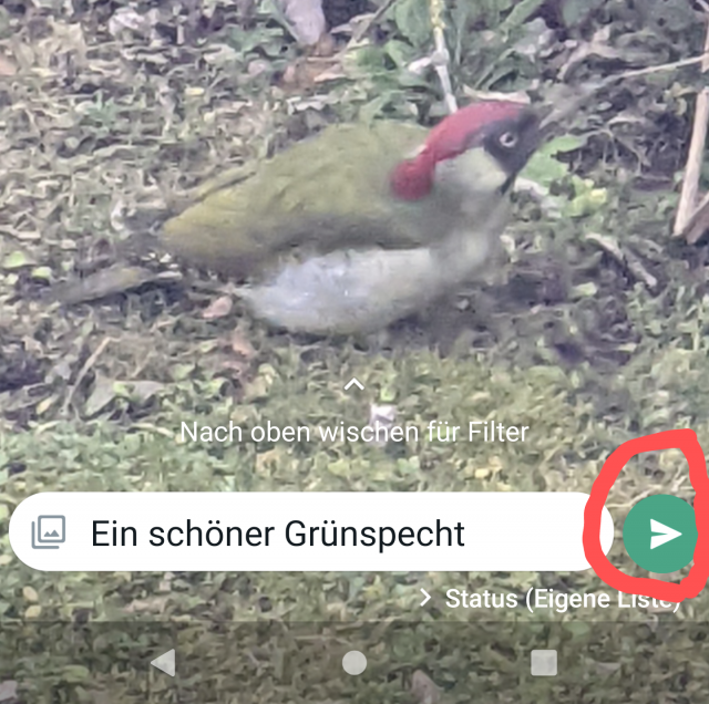 Schritt 3: Bildunterschrift hinzufügen und senden