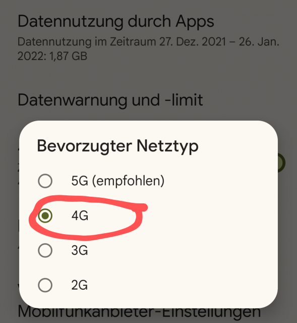 Bevorzugter Netzwerktyp