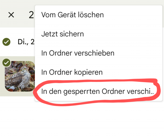 Gesperrter Ordner