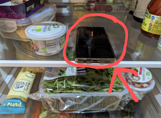 Smartphone dans le réfrigérateur pour extraire le support de la carte sim