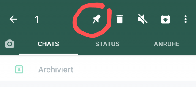 WhatsApp Chat anpinnen in WhatsApp - Chat auswählen