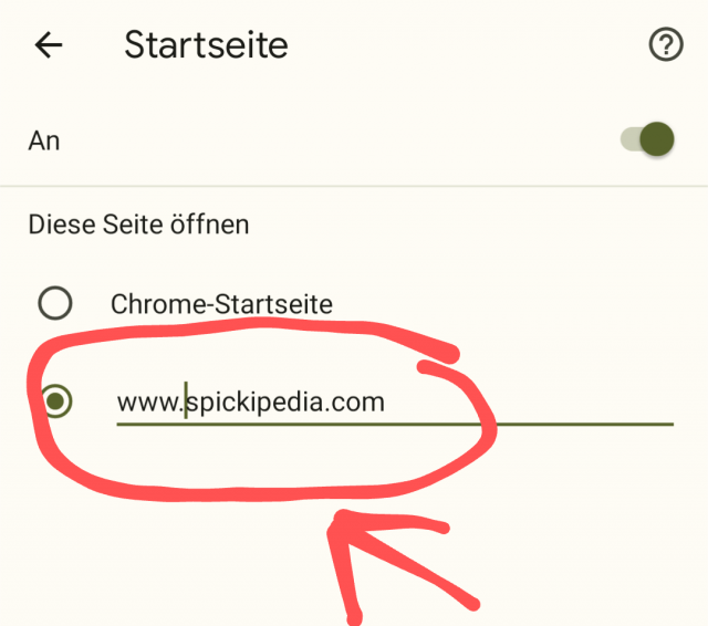 Benutzerdefinierte Adresse - Google Chrome