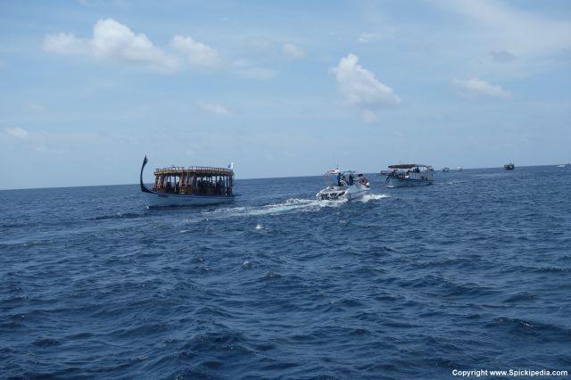 Walhai Highway - Boote