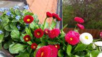Filename=20140412_095456.jpg
Filesize=5100KiB
Dimensions=5312x2988
Date added=Apr 12, 2014 20140412_095456.jpg