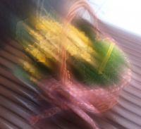 Filename=20160417_111124.jpg
Filesize=3257KiB
Dimensions=2934x2689
Date added=Apr 17, 2016 20160417_111124.jpg