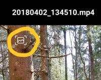 Filename=20180402_223901.jpg
Filesize=198KiB
Dimensions=597x476
Date added=Apr 02, 2018 20180402_223901.jpg
