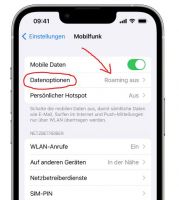 Datenroaming_aktivieren.JPG