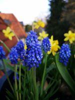 Filename=IMG_20180408_185917.jpg
Filesize=3996KiB
Dimensions=5472x7296
Date added=Apr 09, 2018 IMG_20180408_185917.jpg