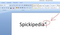 Microsoft_Word_Grad_Zeichen_schreiben.JPG