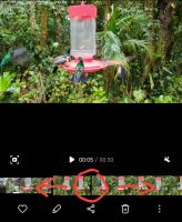 Filename=Screenshot_20210819-172248_Gallery~0.jpg
Filesize=798KiB
Dimensions=1079x1311
Date added=Aug 19, 2021 Screenshot_20210819-172248_Gallery~0.jpg