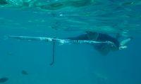 Filename=Unterwasser-Ohr-2.jpg
Filesize=320KiB
Dimensions=1320x795
Date added=Jul 02, 2018 Unterwasser-Ohr-2.jpg