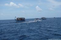 Filename=Walhai_Sun_Island_28129.JPG
Filesize=541KiB
Dimensions=2121x1414
Date added=Feb 02, 2018 Walhai_Sun_Island_28129.JPG