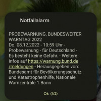 iPhone 15 CB Nachrichten aktivieren – So geht's