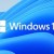 Windows 11 Wasserzeichen wird nach Update angezeigt – wie entfernen?
